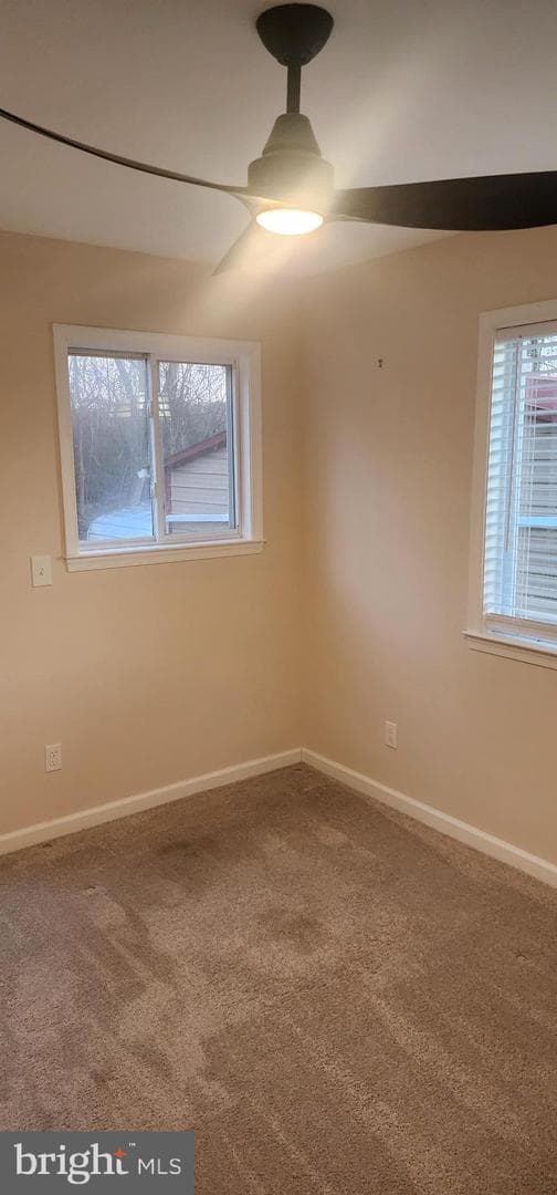 309 Burnside Avenue photo 49