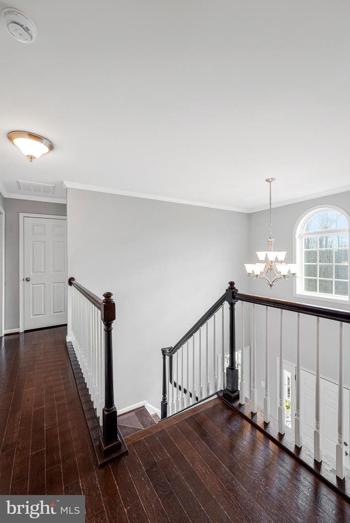 40 Evanston Court photo 43