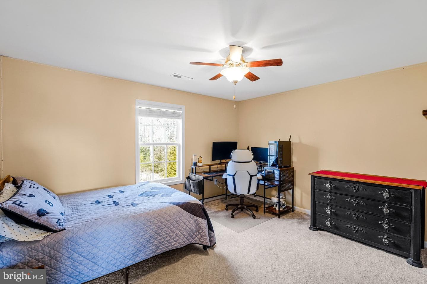 40 Evanston Court photo 49
