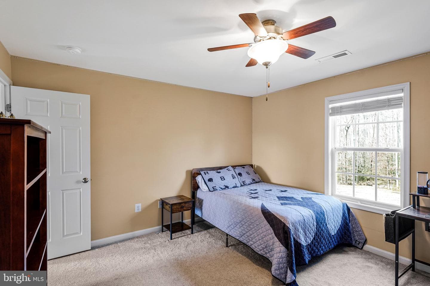 40 Evanston Court photo 50