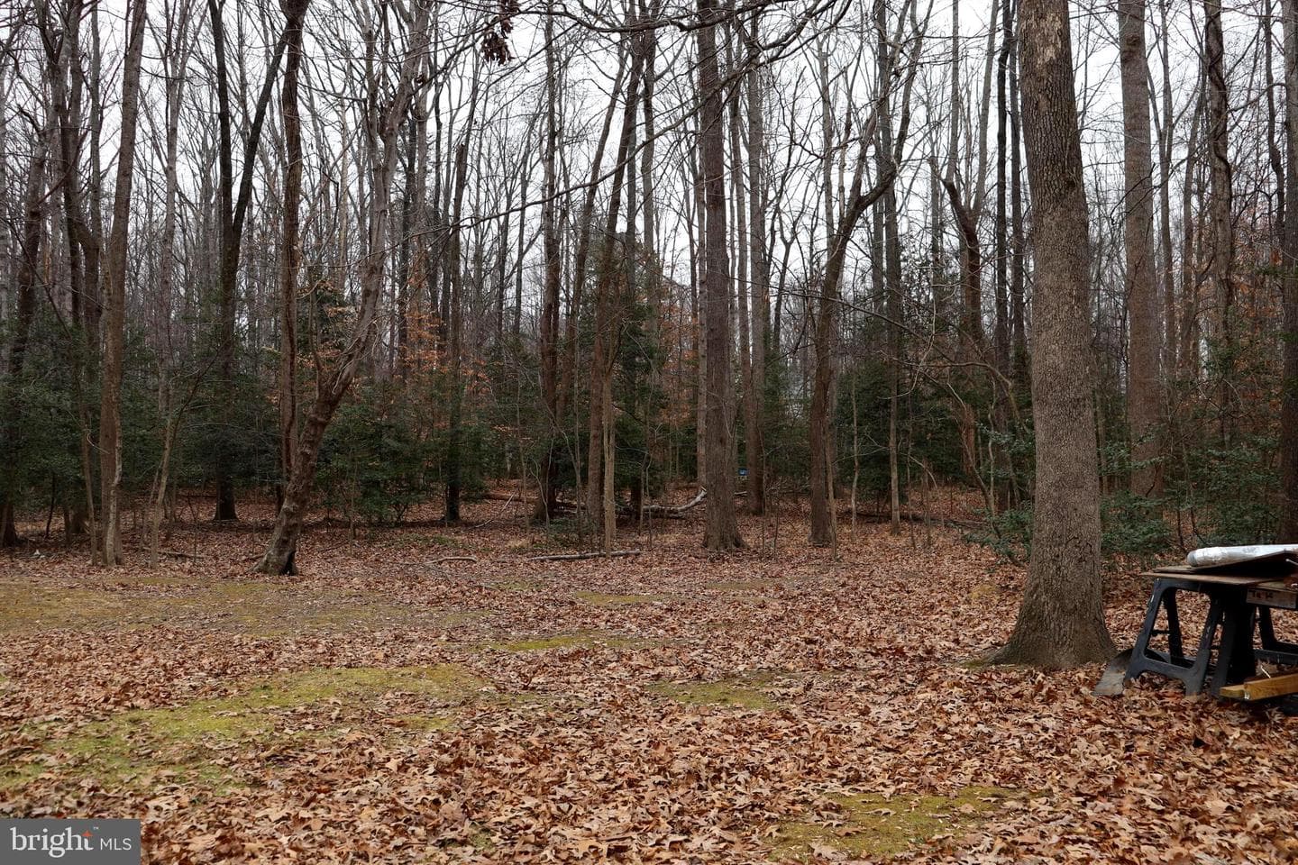 32 Carter Lane photo 11