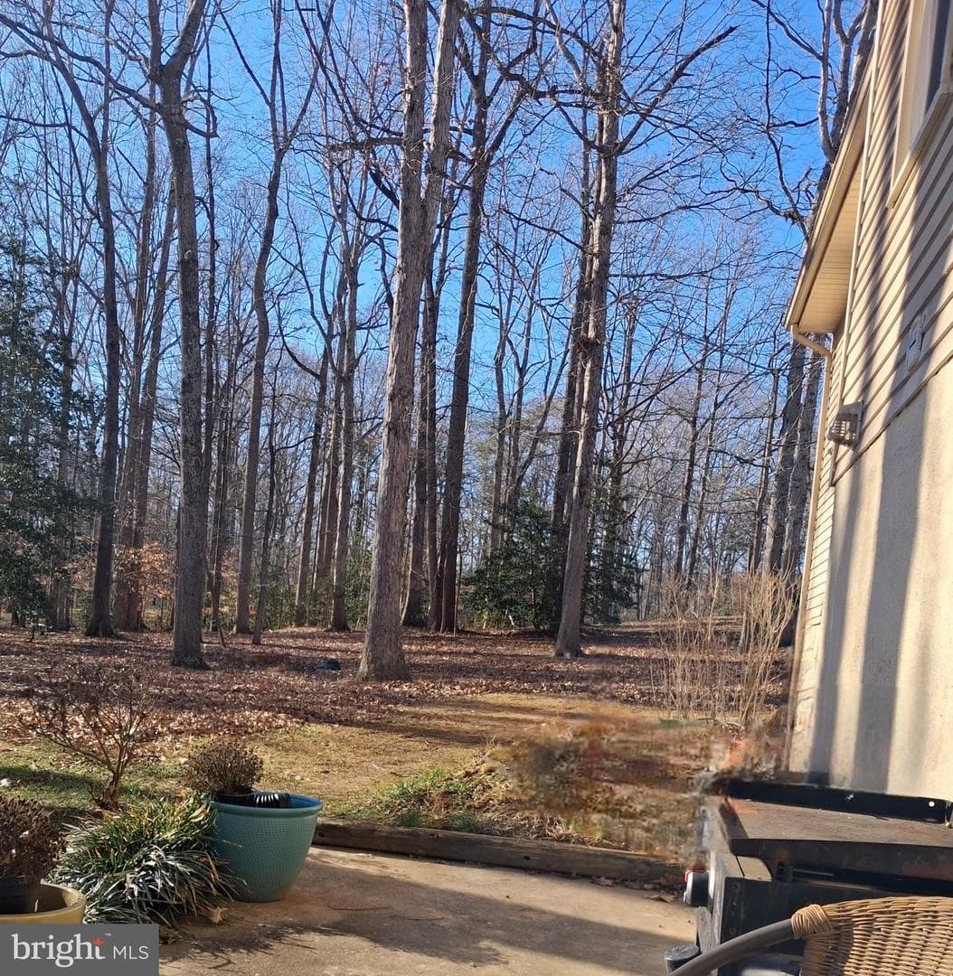 32 Carter Lane photo 9