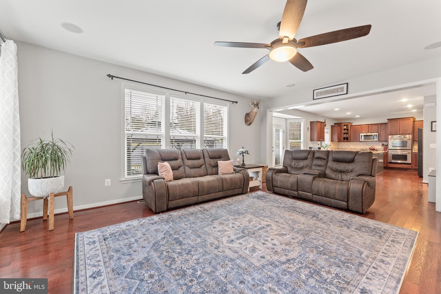 22 Iris Lane photo 17