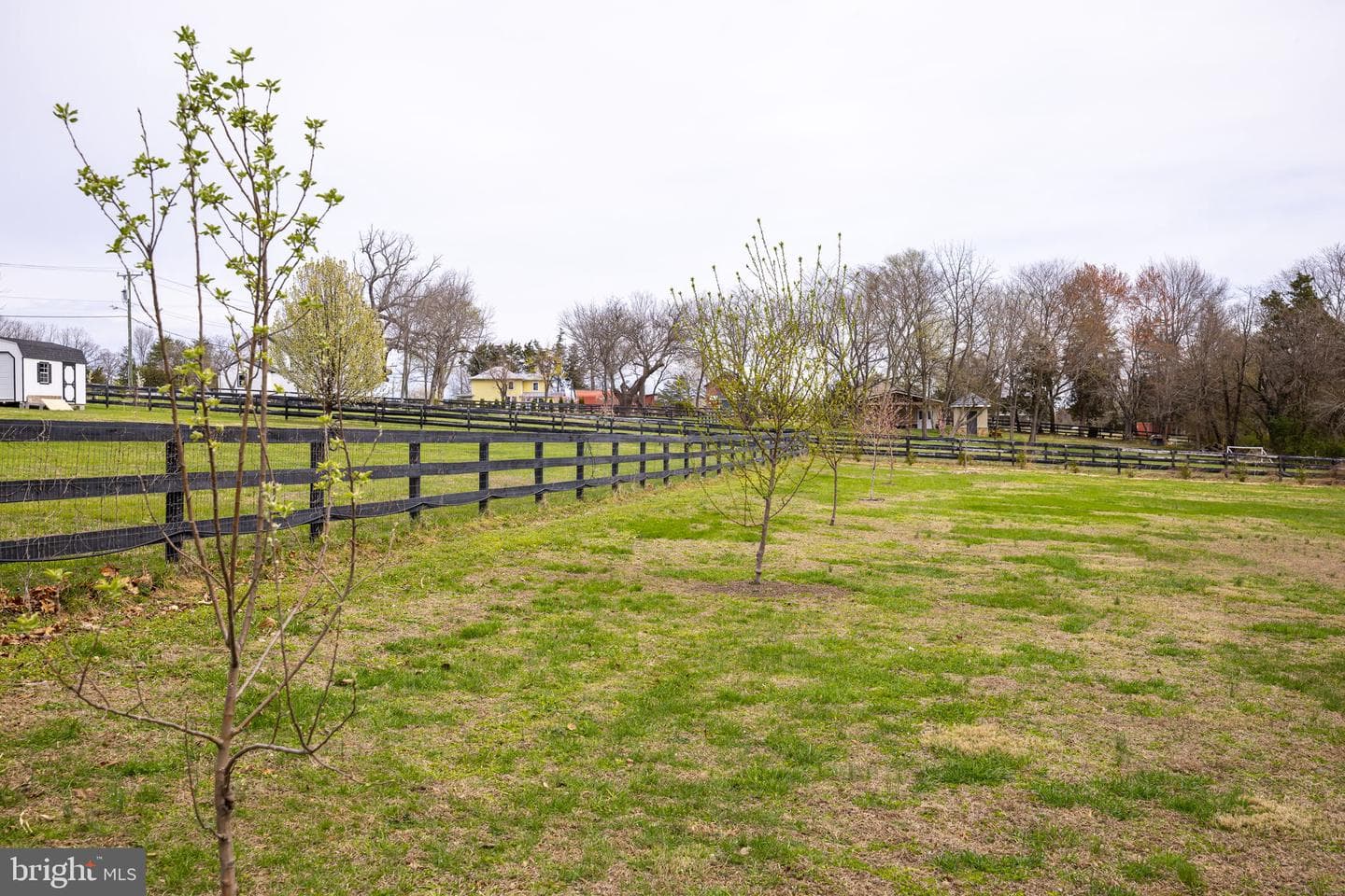 240 Poplar Road photo 72