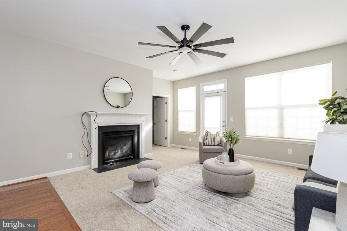 16 Dabney Court photo 5
