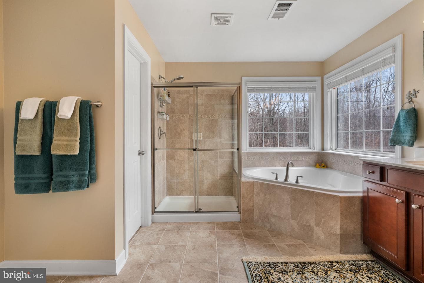 34 Bella Vista Court photo 28