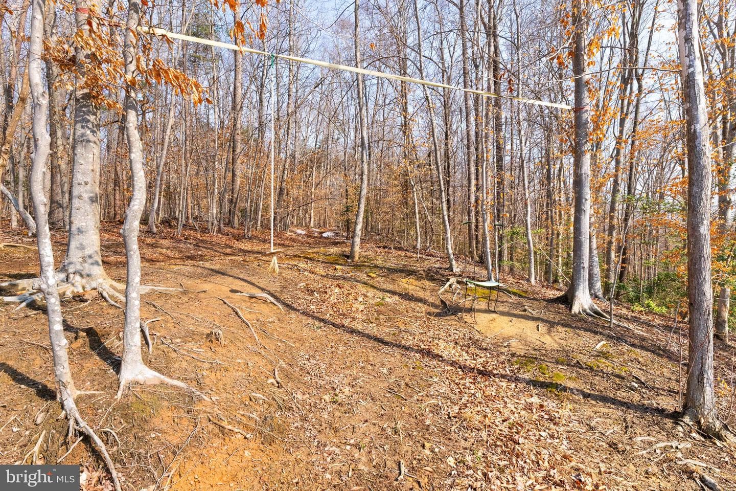 180 Pinewood Road photo 65