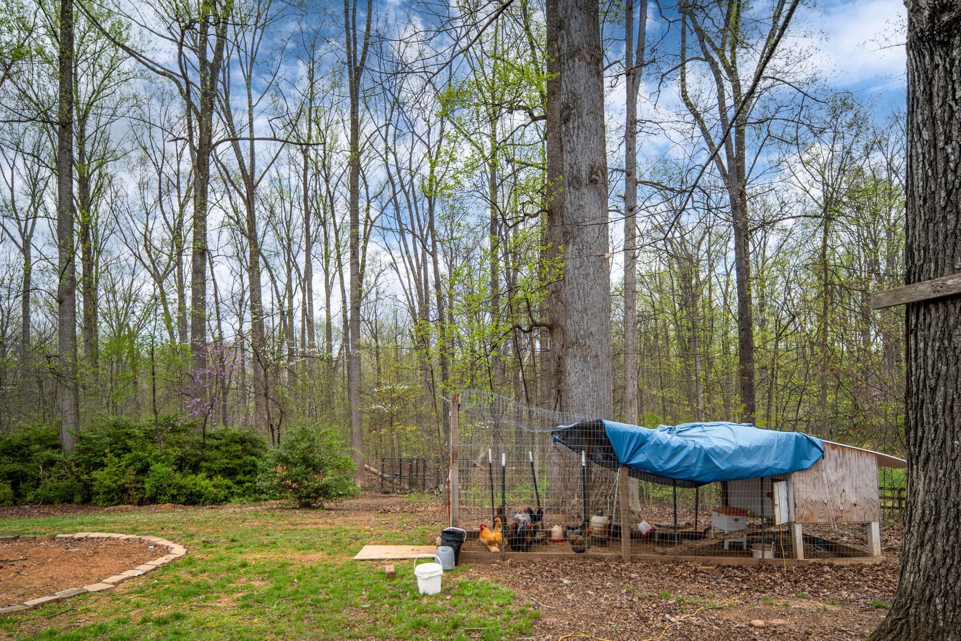 60 Richards Ferry Road photo 32