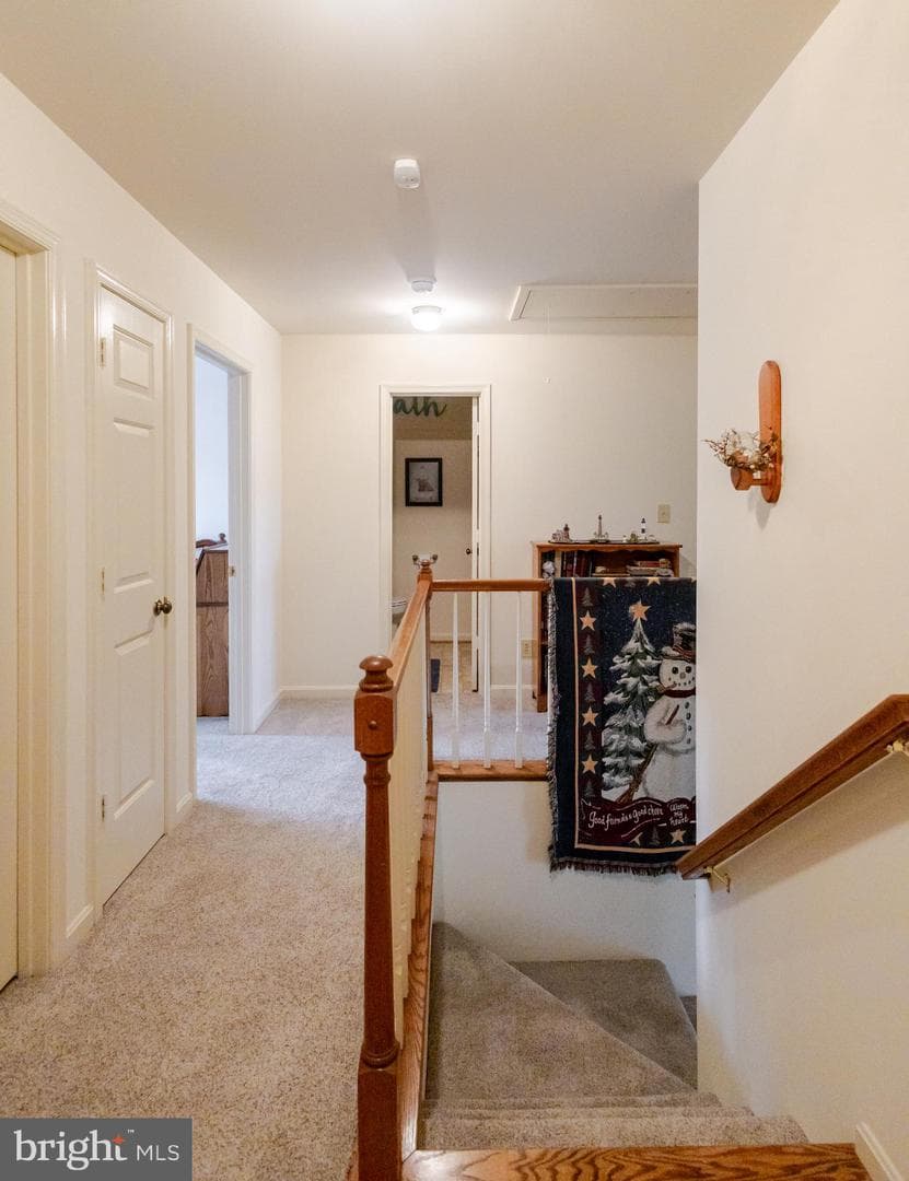 2230 Karen Terrace photo 55