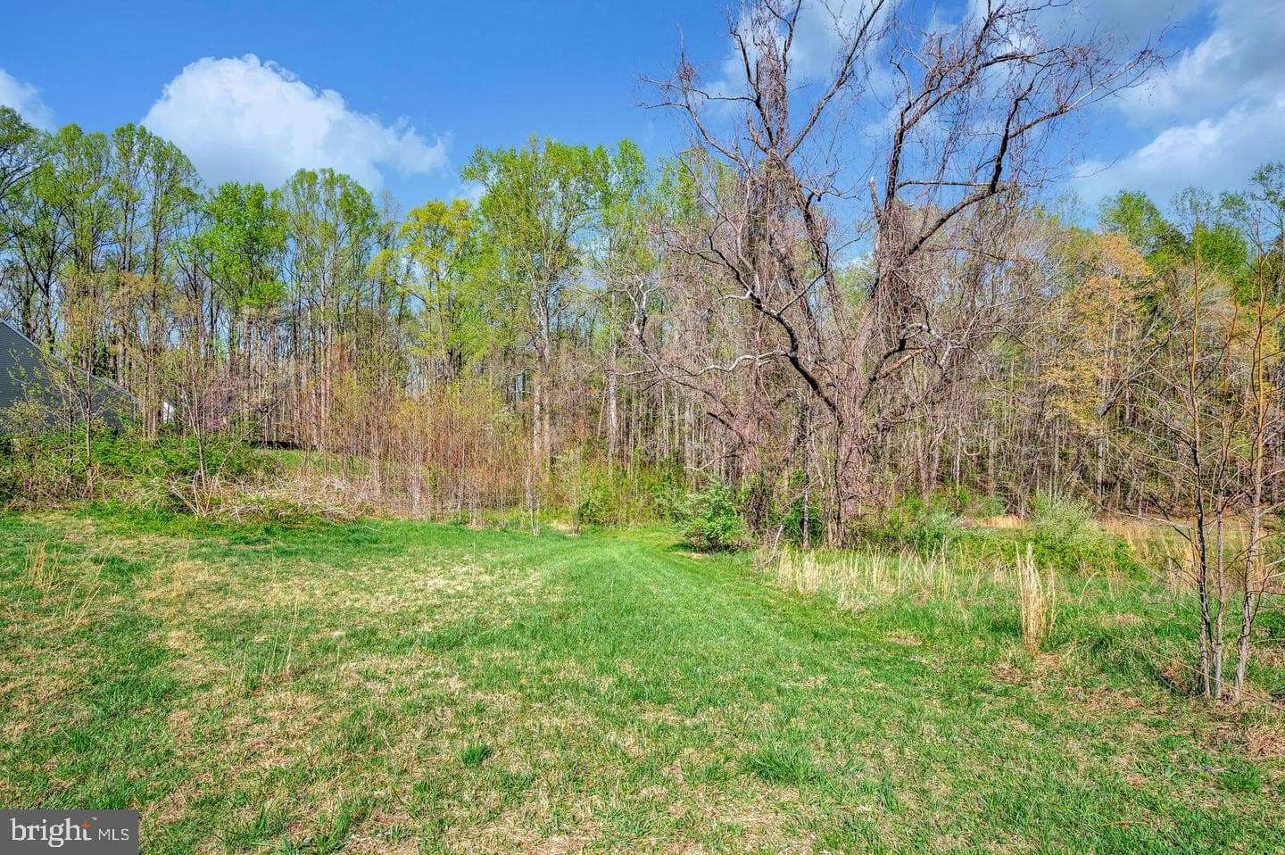 1588 Mountain View Road photo 11