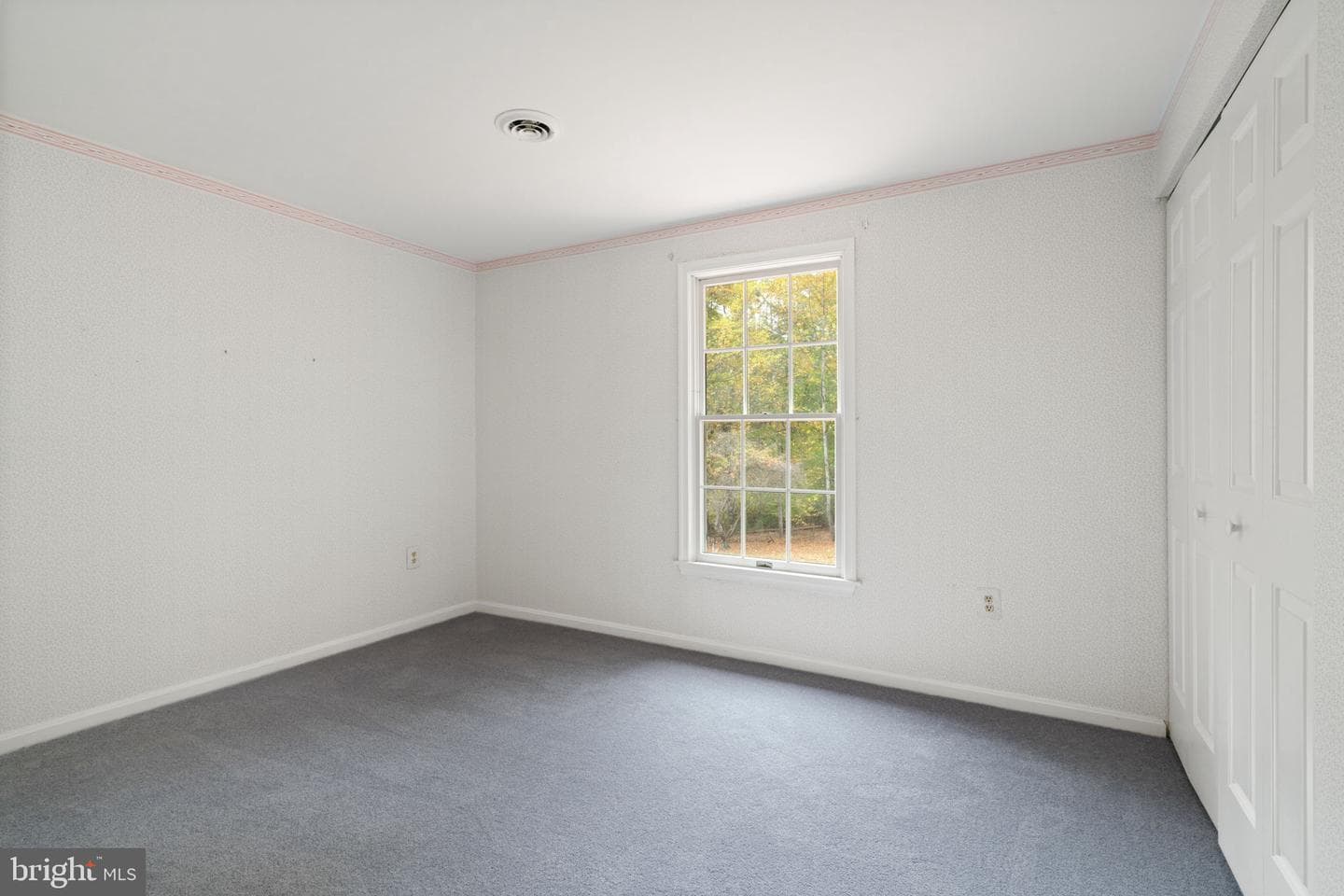 19 Windrush Court photo 41