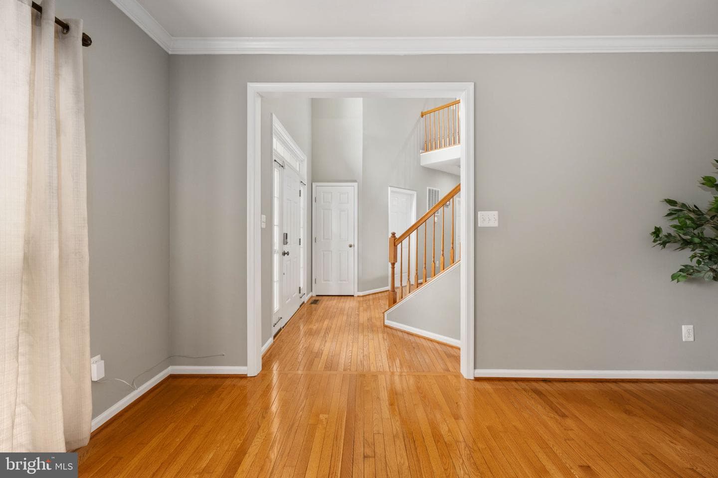 30 Nugent Drive photo 10
