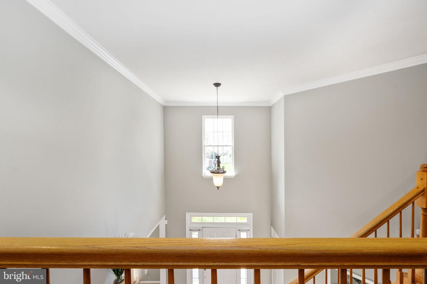30 Nugent Drive photo 40