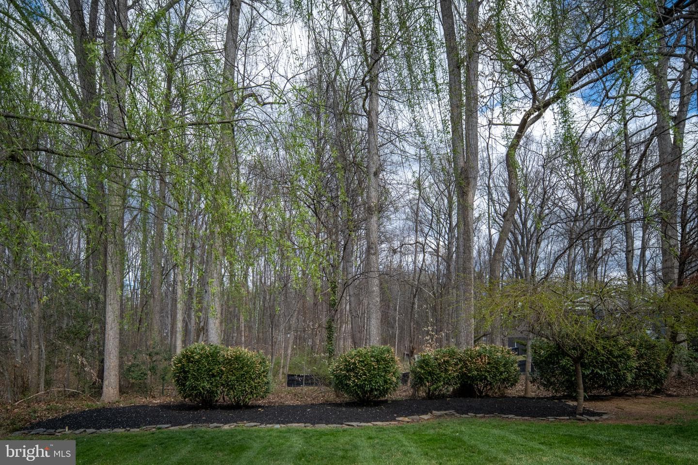30 Nugent Drive photo 62