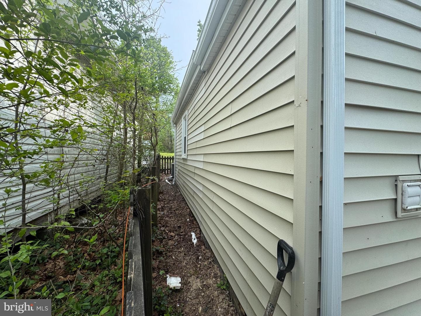 243 Cambridge Street photo 18