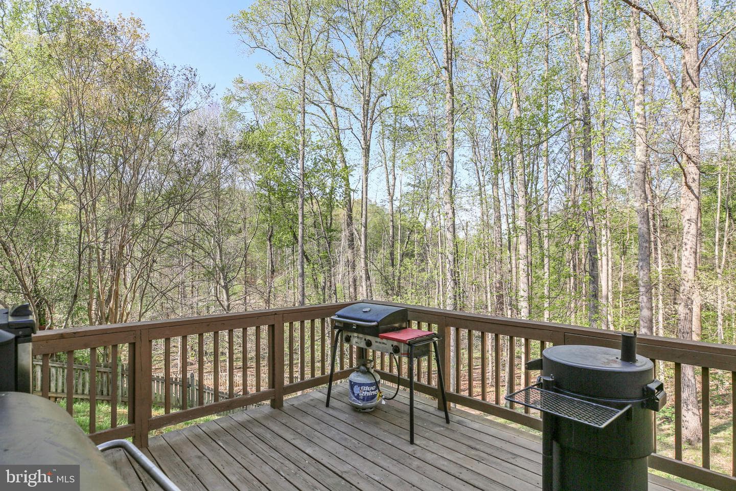 36 Amelia Court photo 27