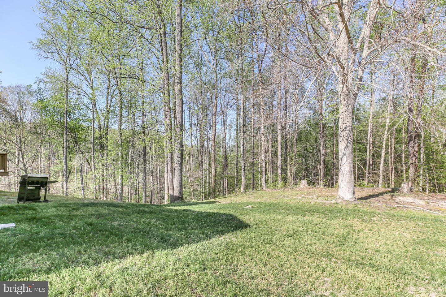 36 Amelia Court photo 28