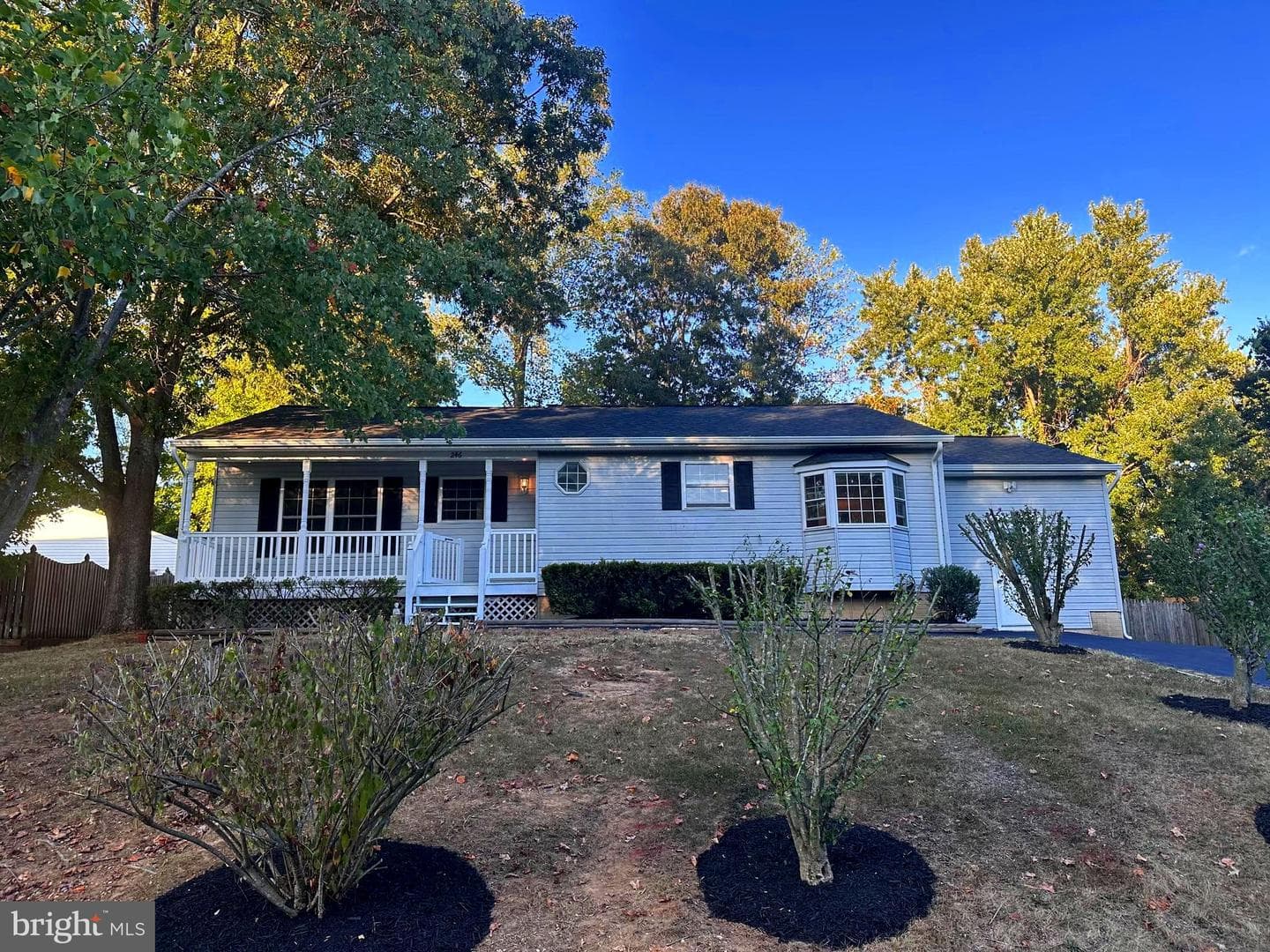 246 Vine Place