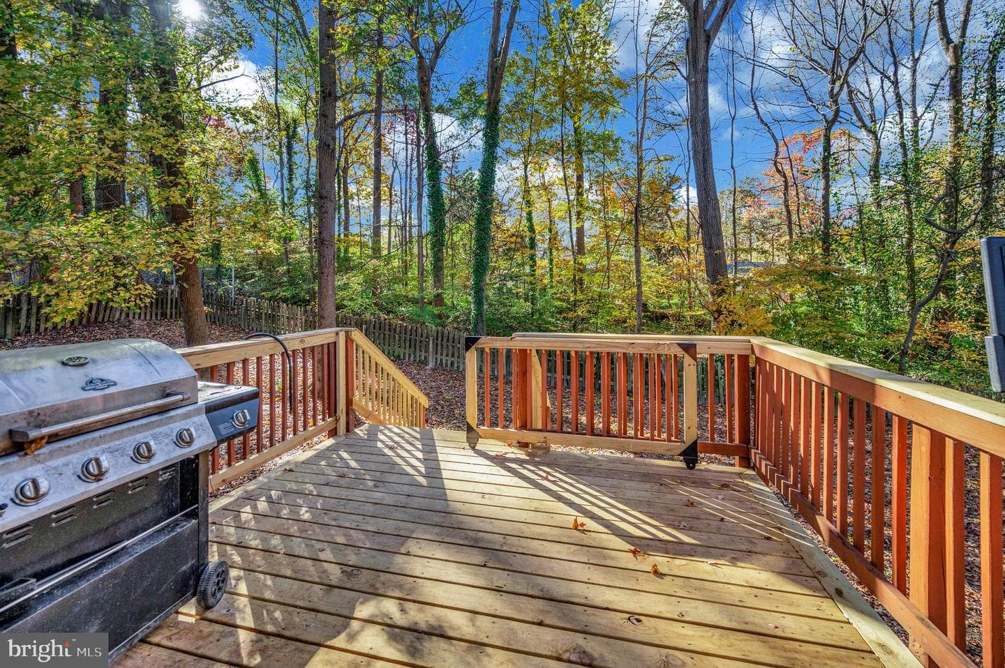 11 Cherry Laurel Drive photo 14