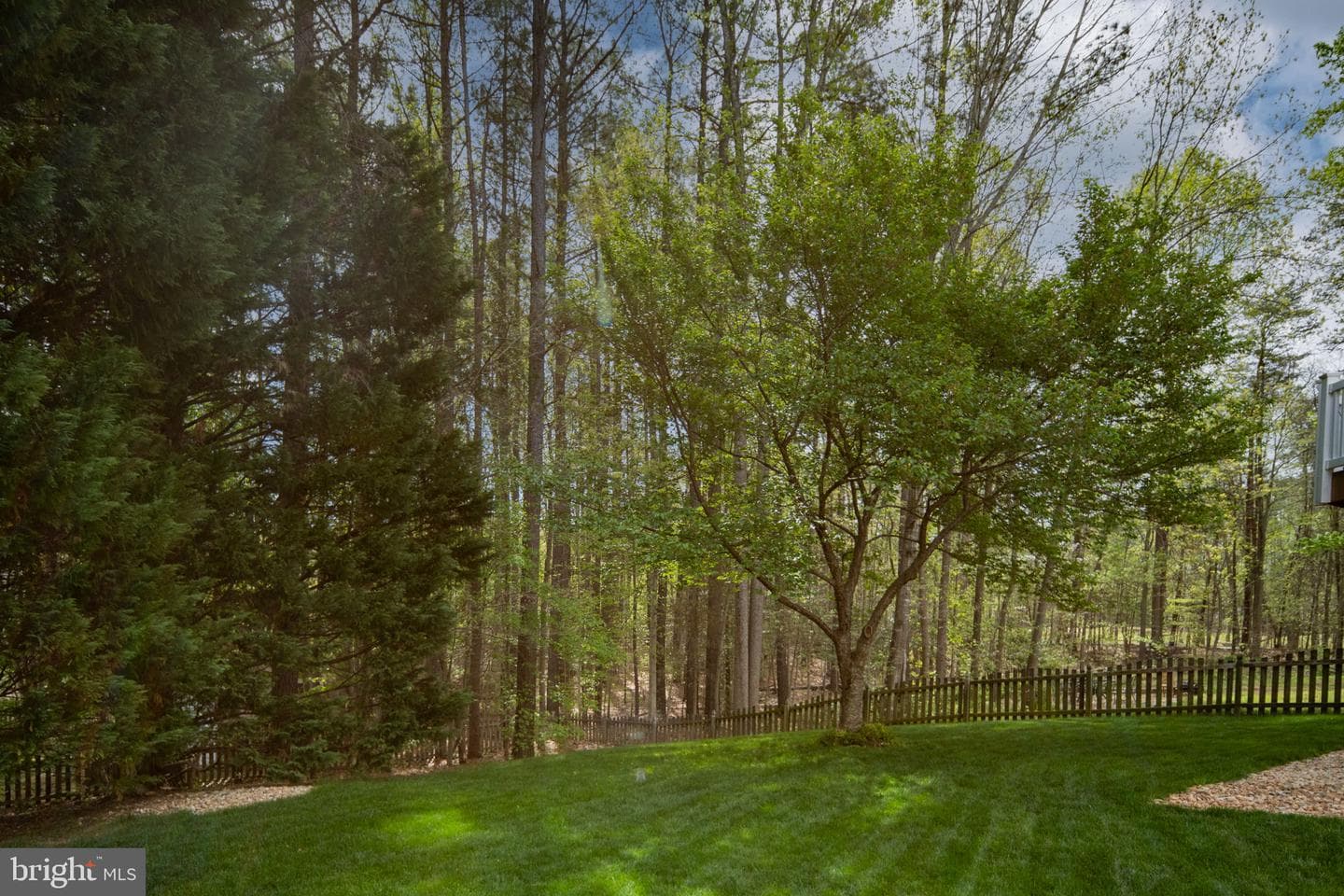 5 Bullrush Court photo 89