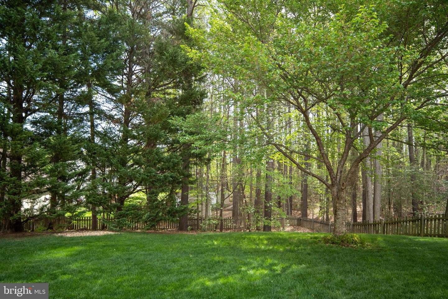 5 Bullrush Court photo 90