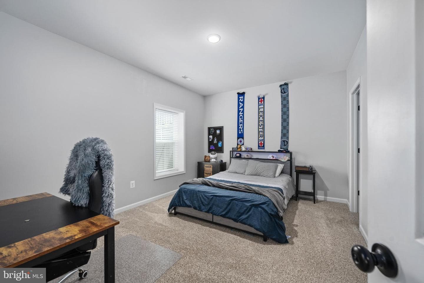 310 Liberty Hall Drive photo 46