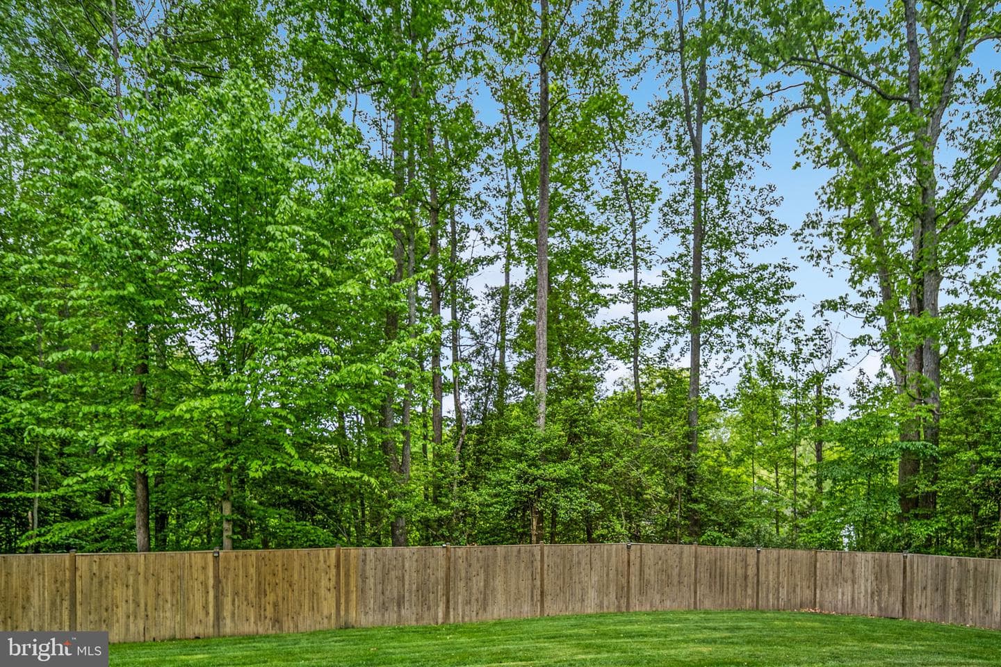 15 Blossom Tree Court photo 100