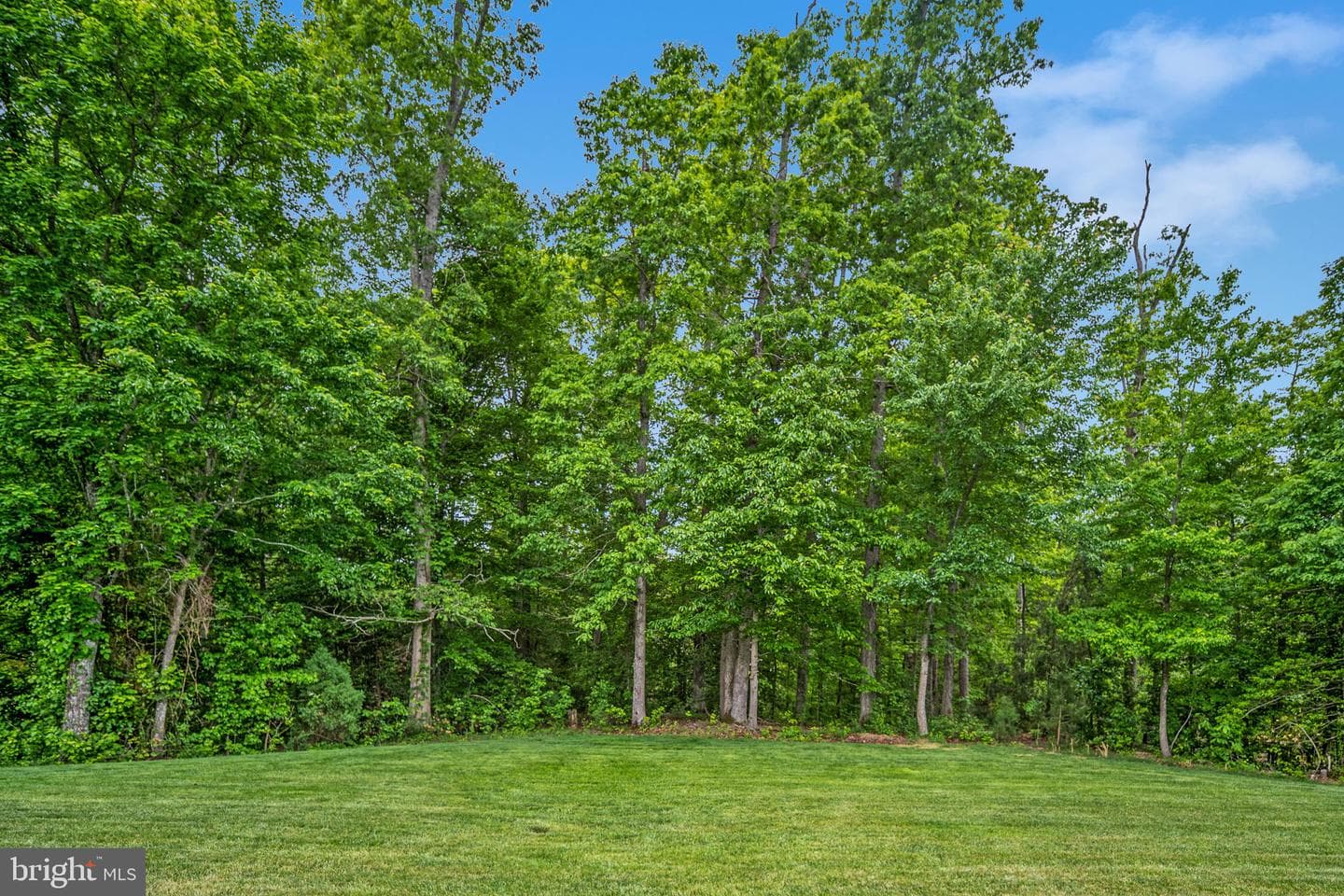 15 Blossom Tree Court photo 98