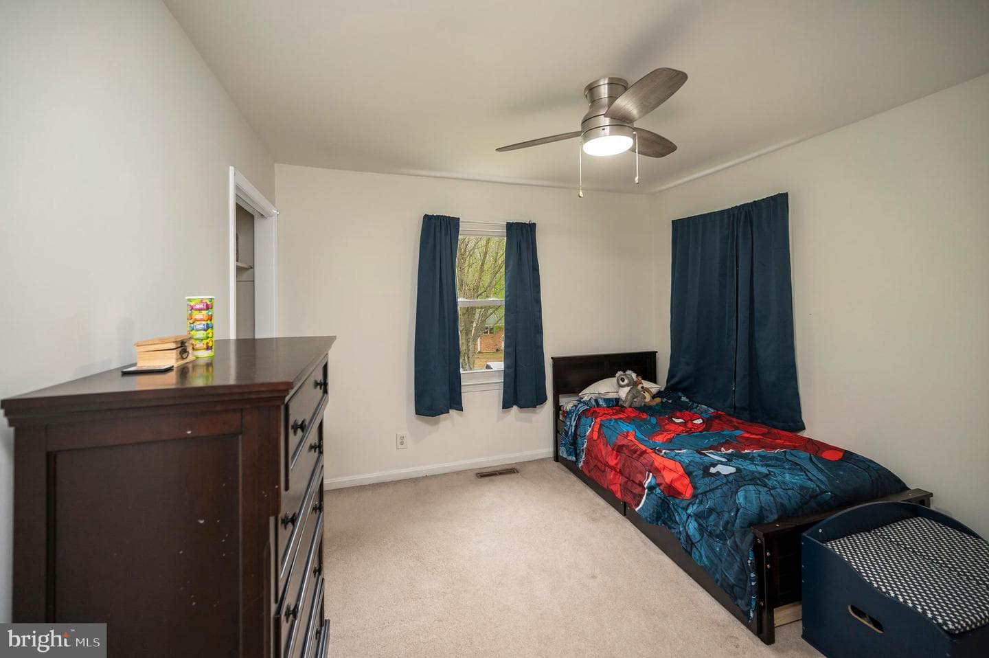 111 Shenandoah Lane photo 24