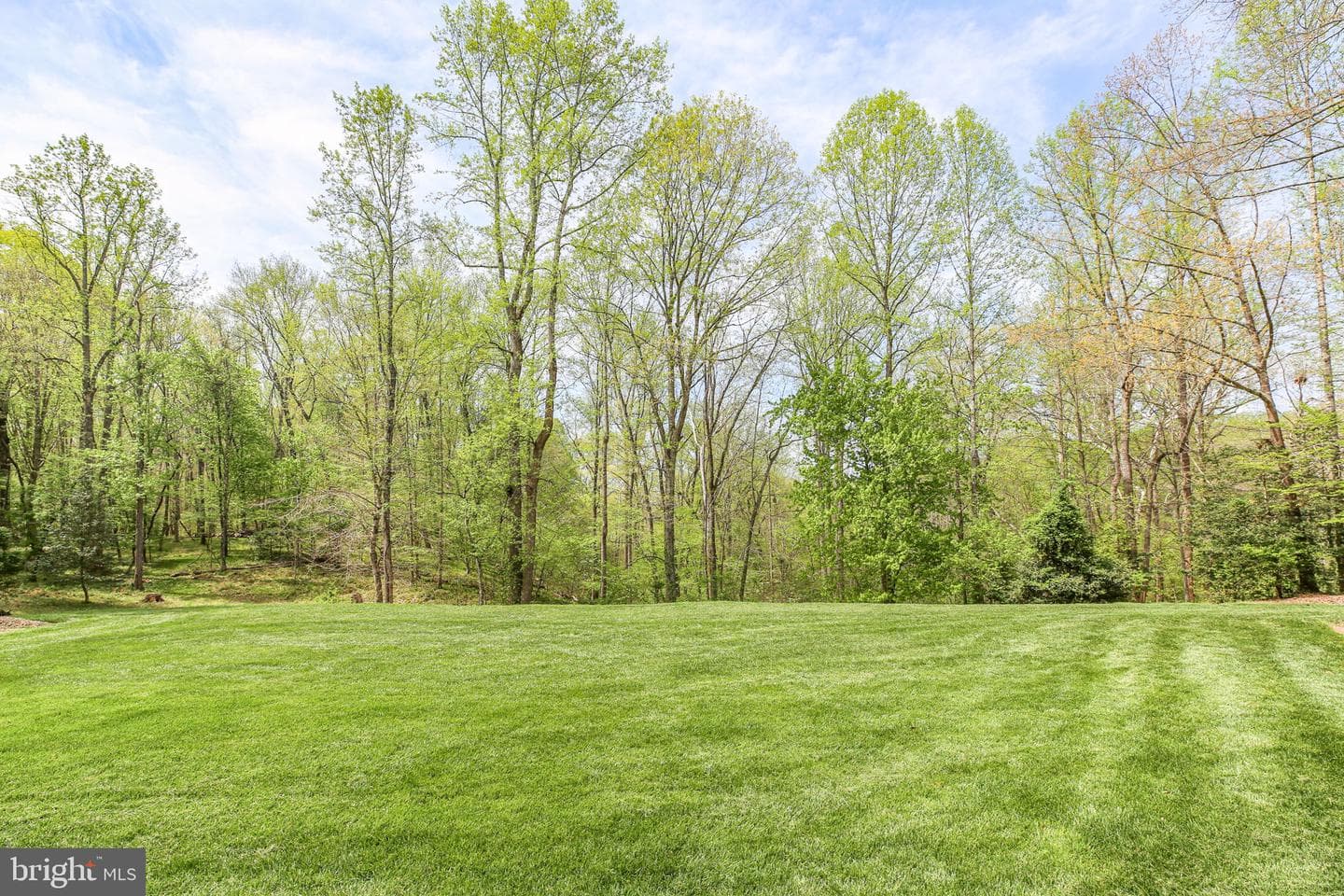 839 Queen Anne Drive photo 81