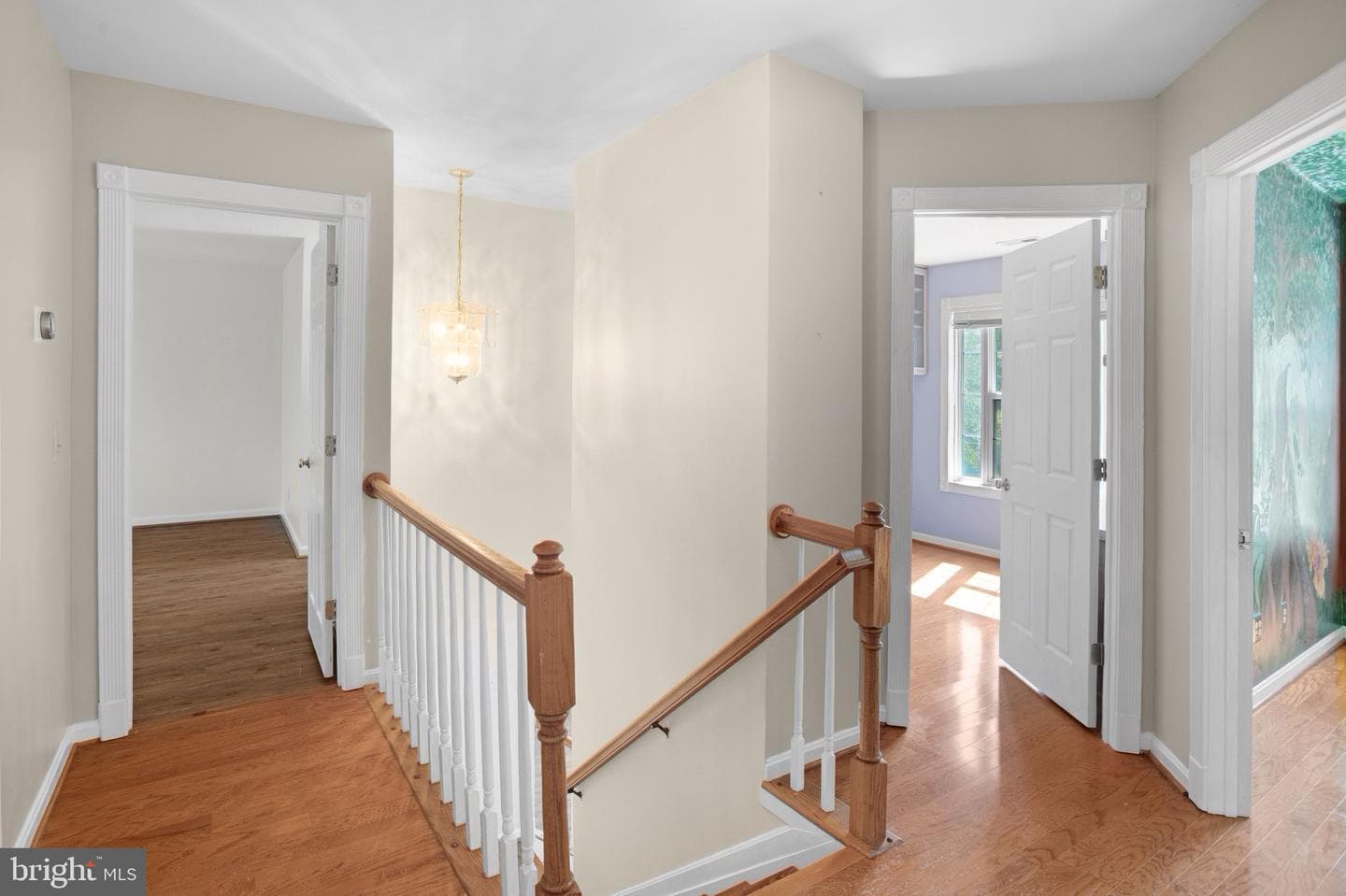5 Murray Circle photo 17