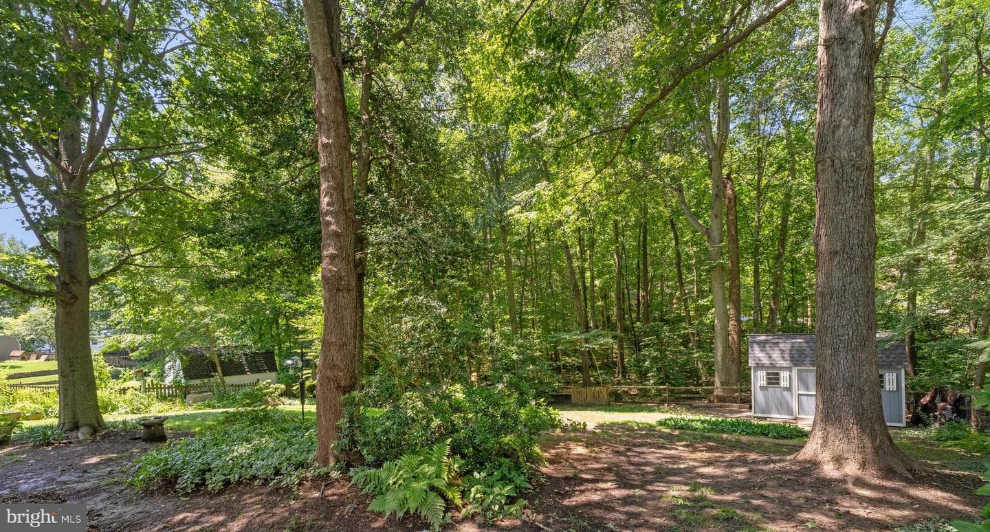 7 Wexwood Court photo 59