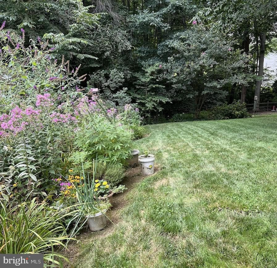7 Wexwood Court photo 70