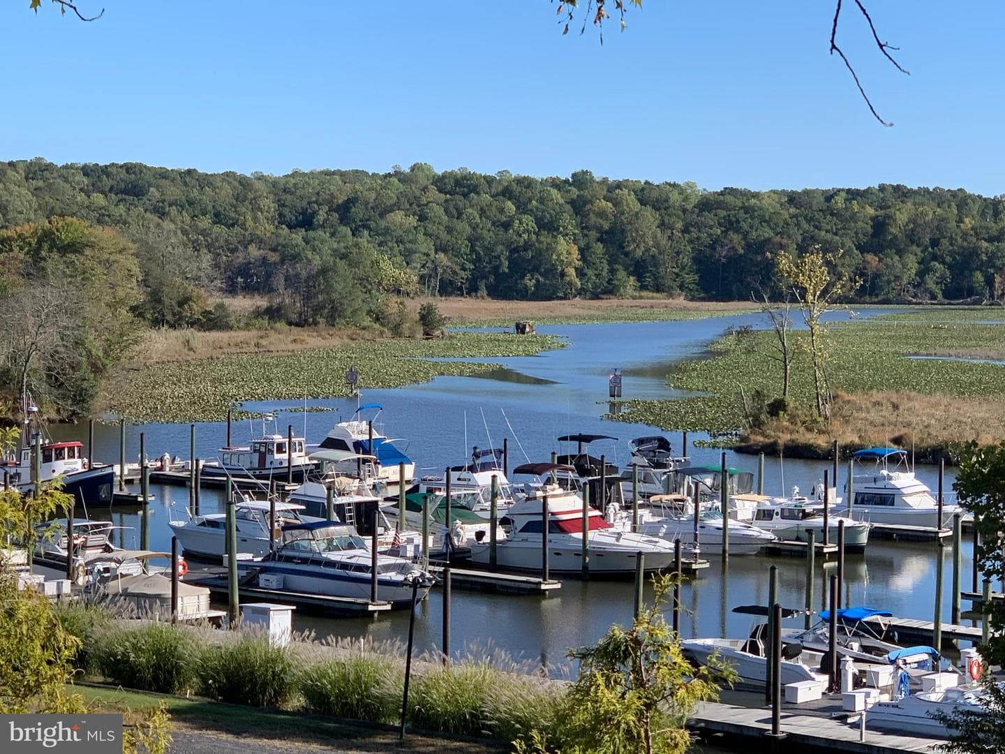 309 Clippership Cove photo 49