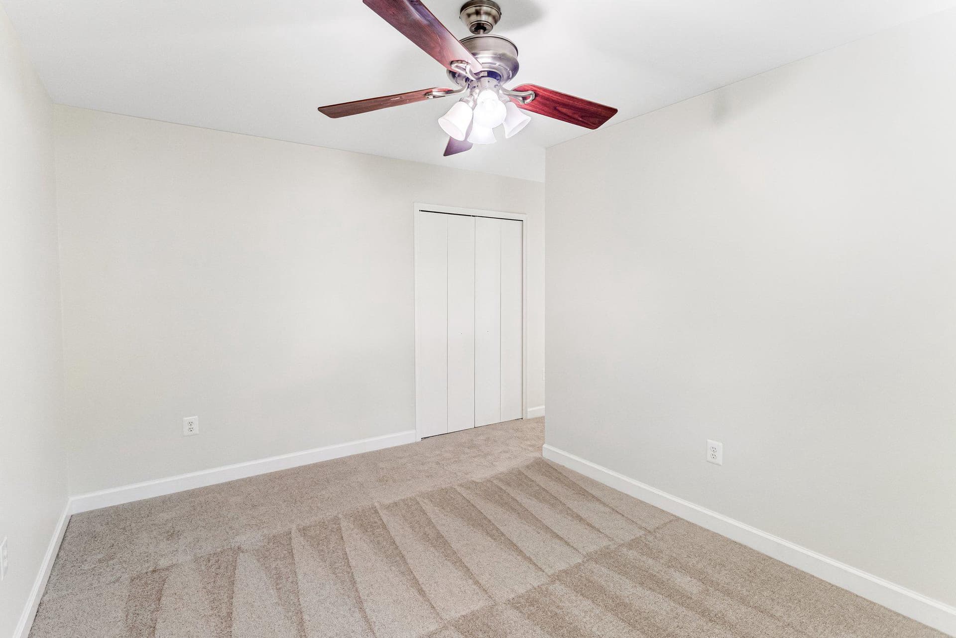 12 Harry Court photo 28