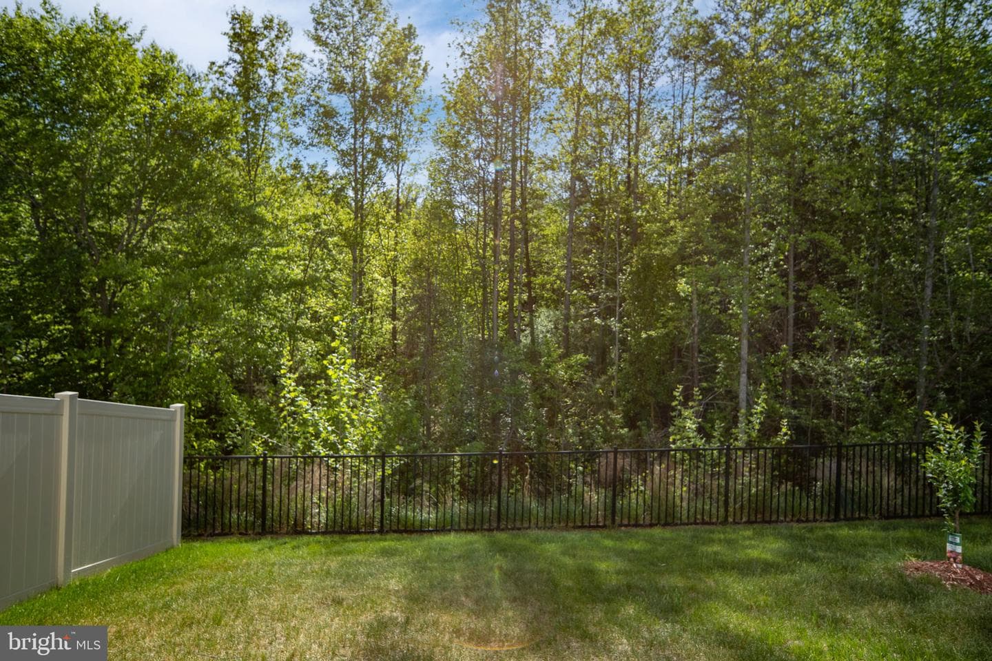 180 Shaded Valley Court photo 39