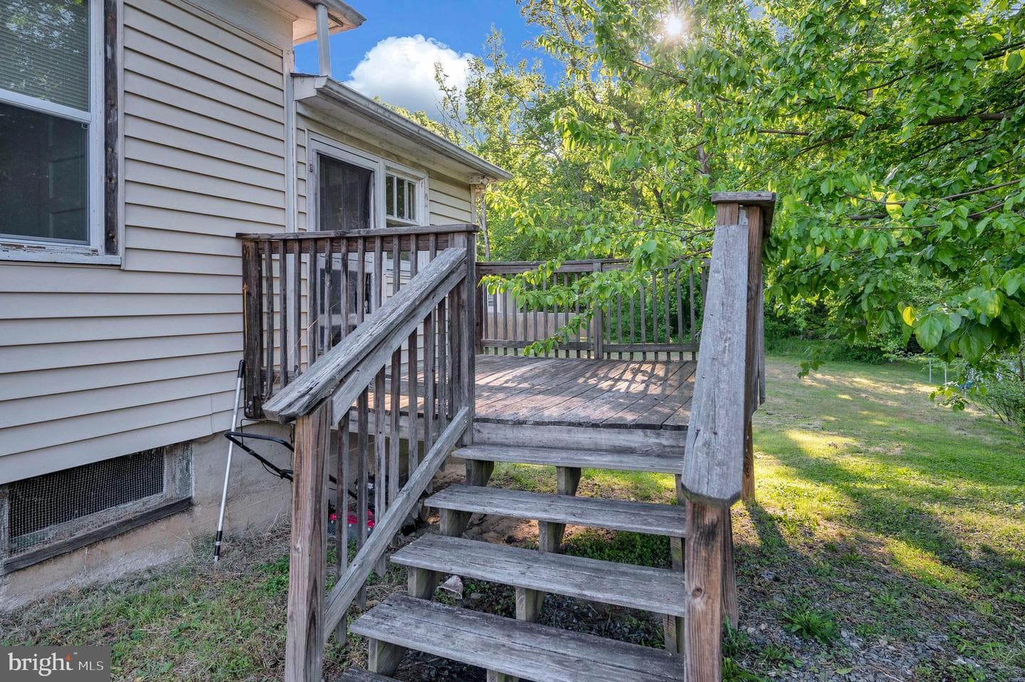 268 Cambridge Street photo 29