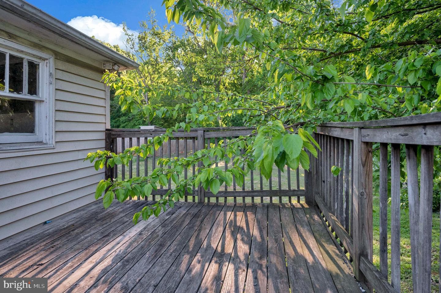 268 Cambridge Street photo 30