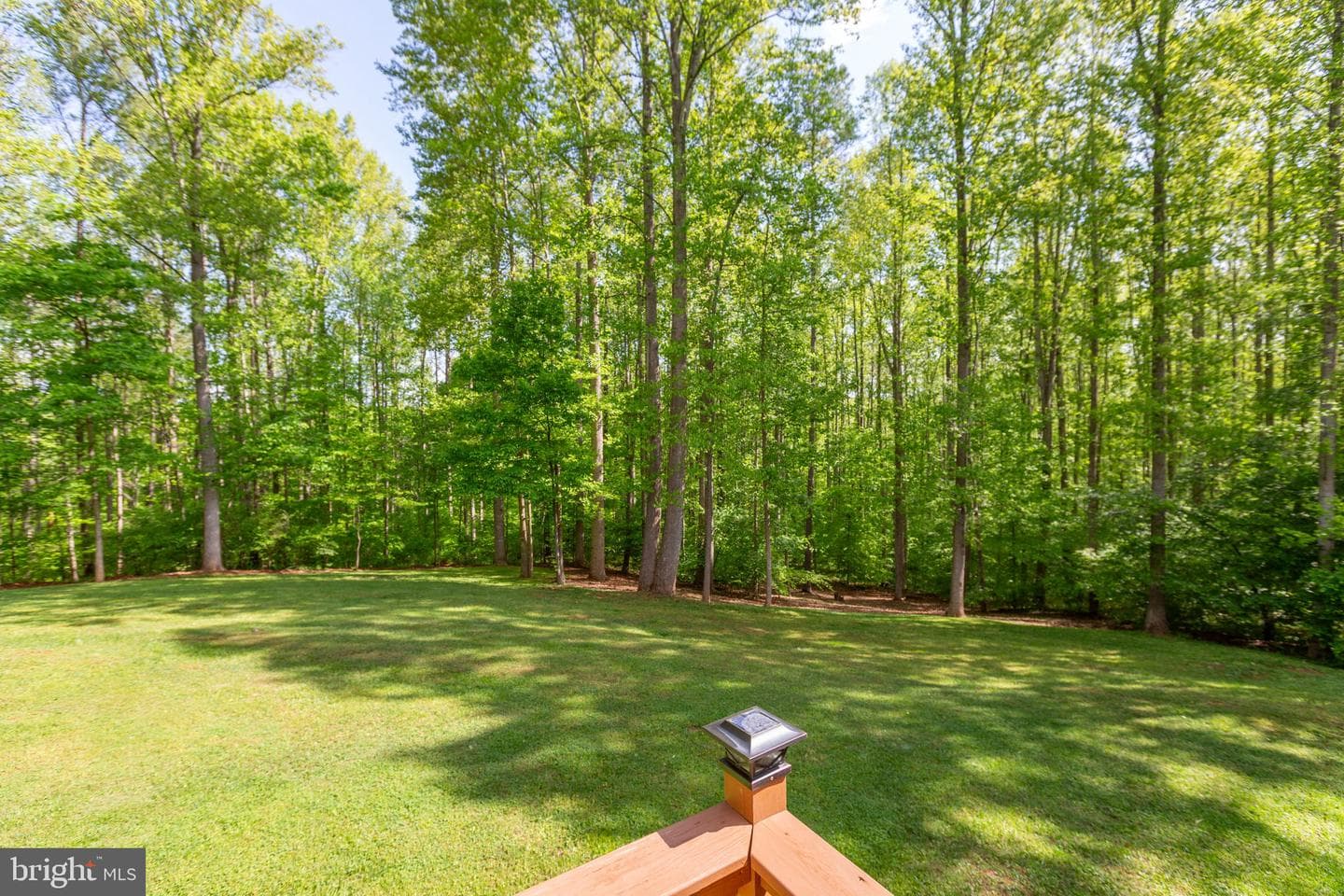 19 Cannon Knolls Drive photo 50
