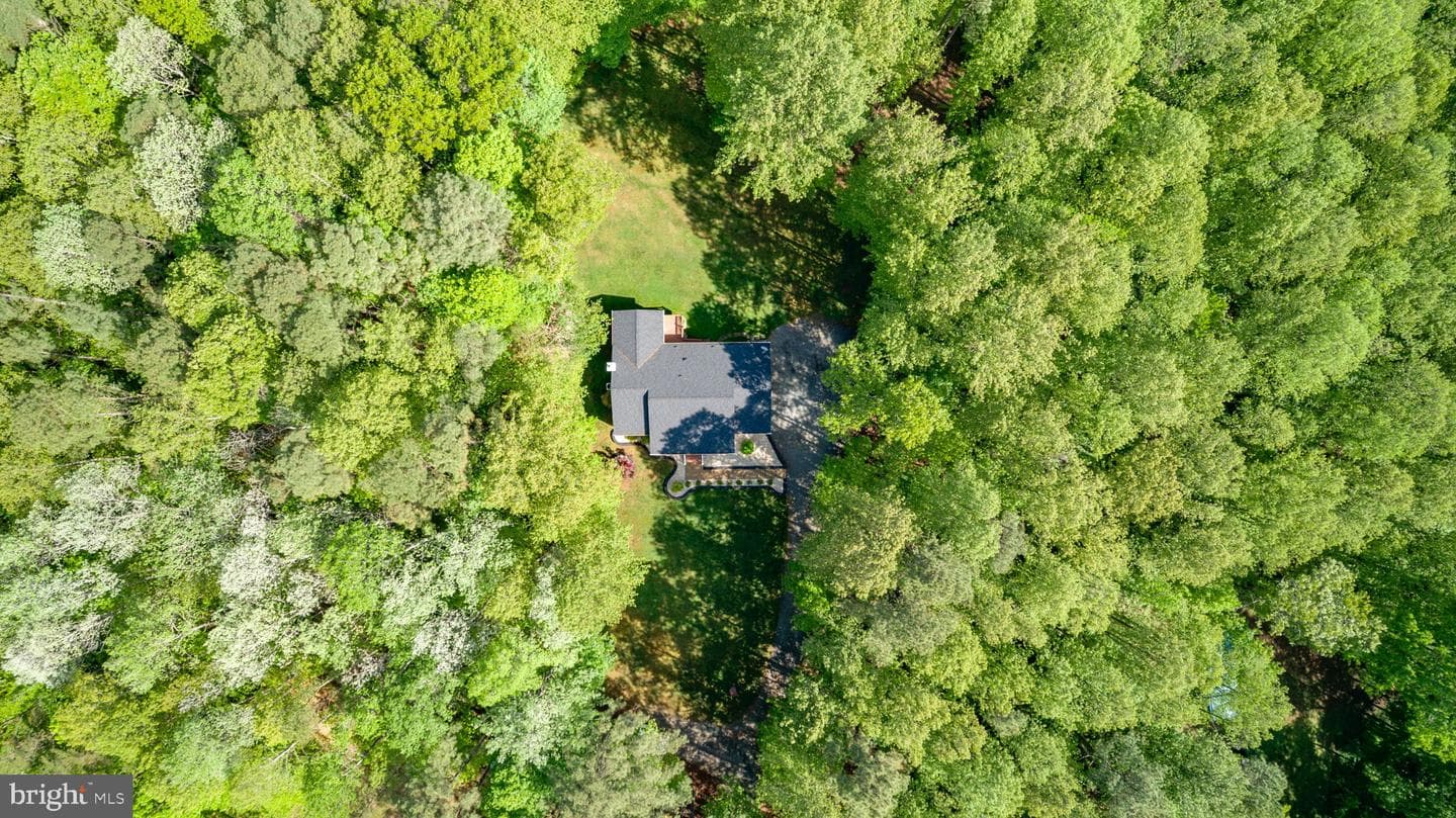 19 Cannon Knolls Drive photo 61