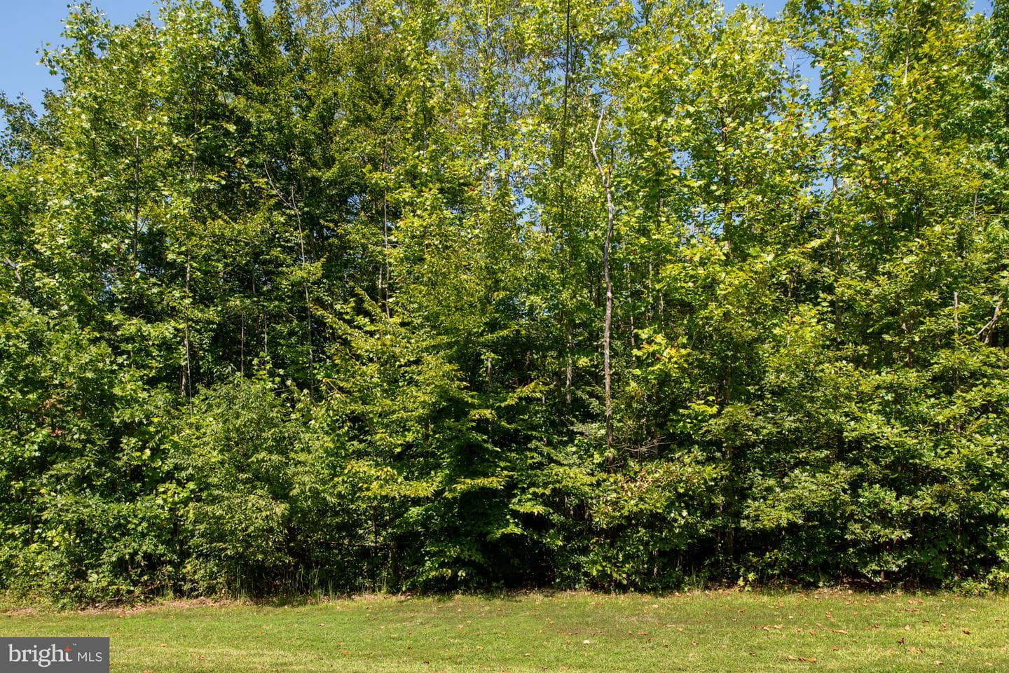 425 Wakerobin Drive photo 83