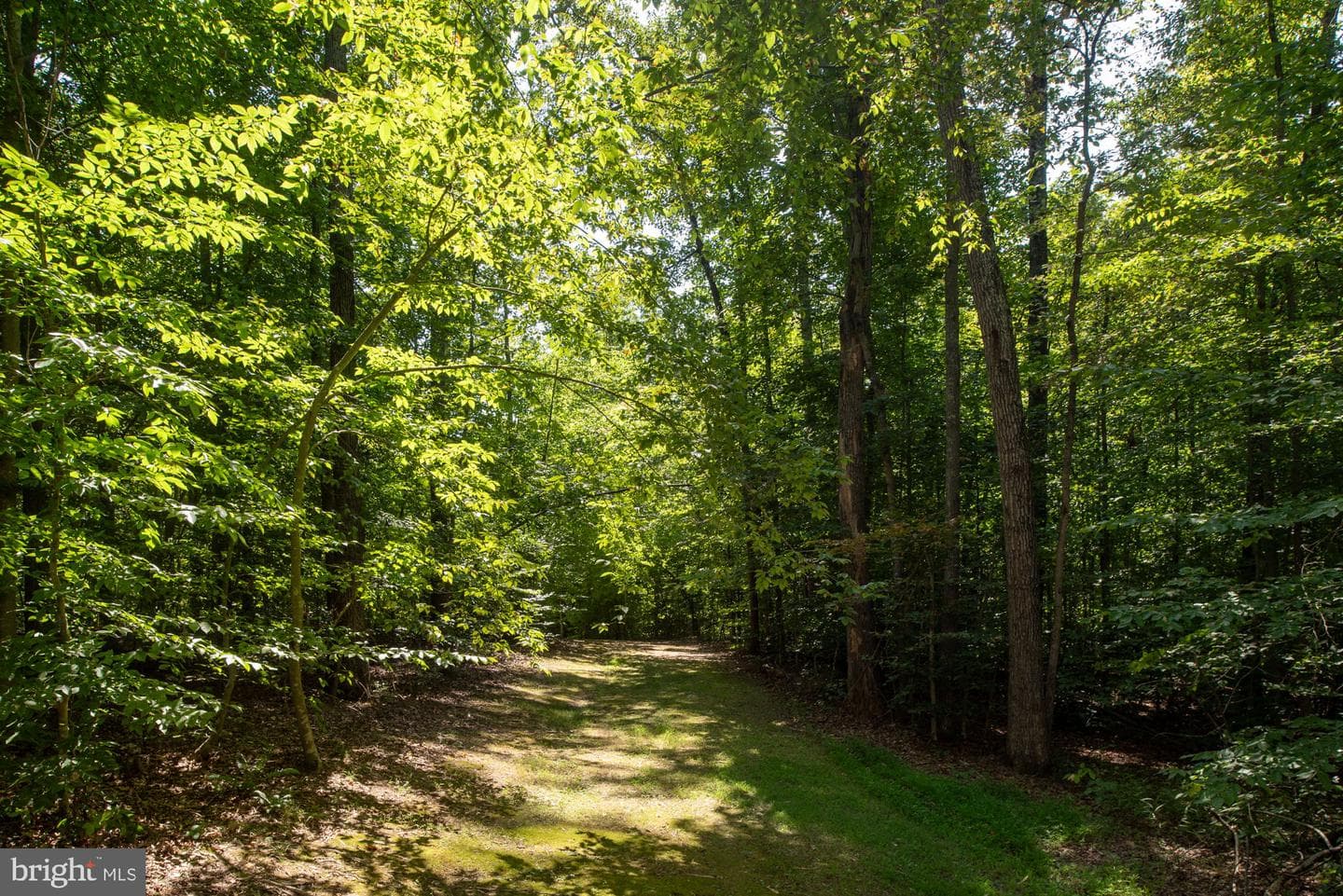 425 Wakerobin Drive photo 88