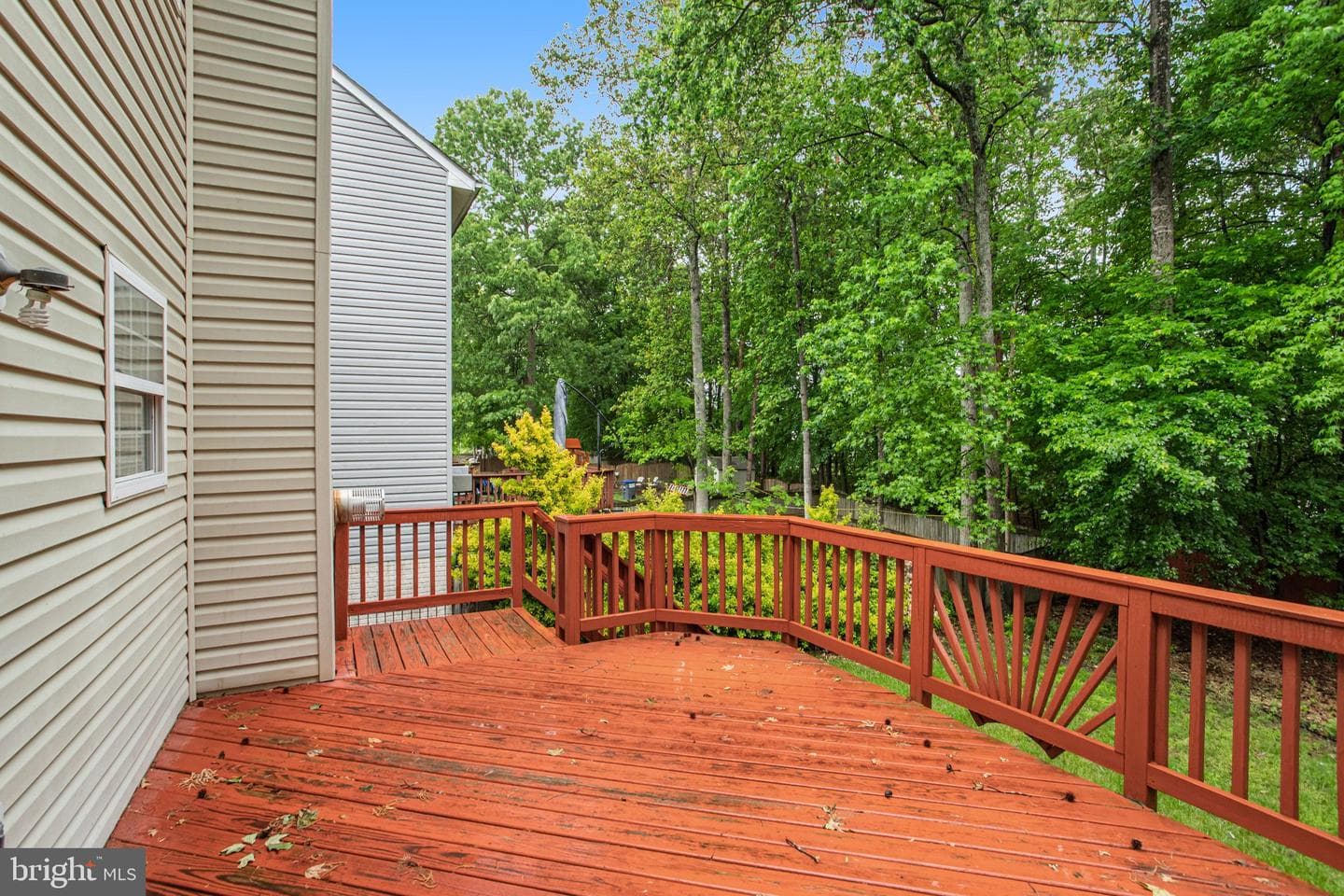 40 Catherine Lane photo 37