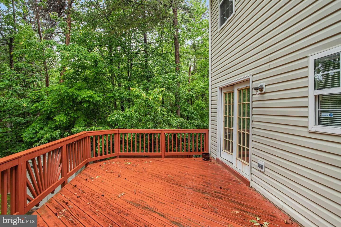 40 Catherine Lane photo 38
