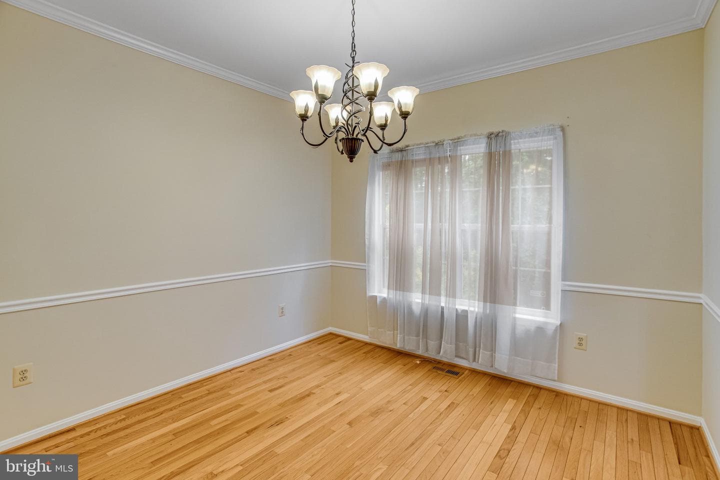 40 Catherine Lane photo 6