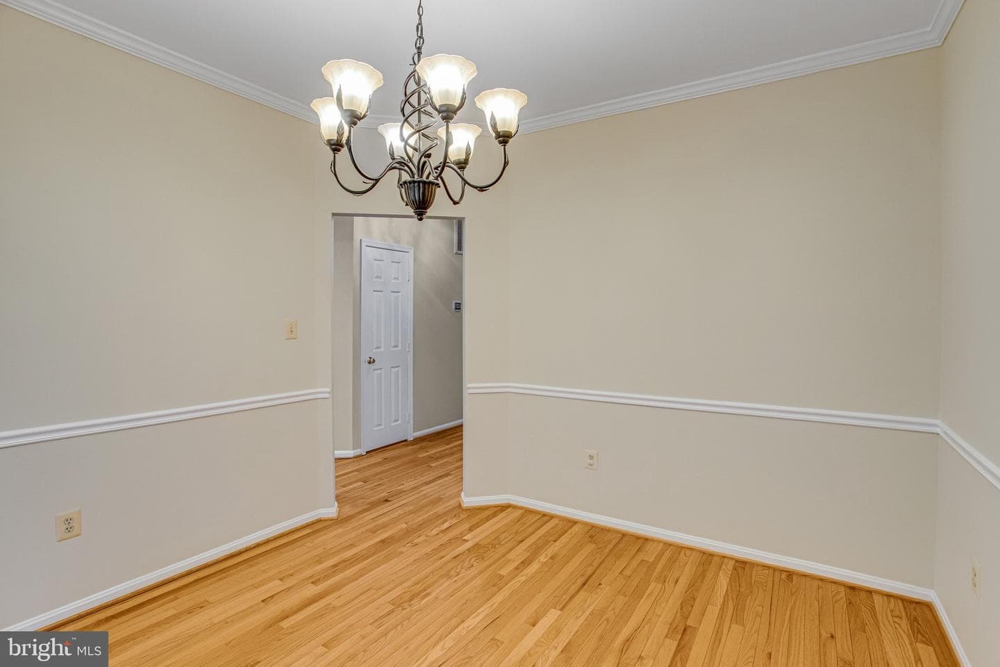 40 Catherine Lane photo 7