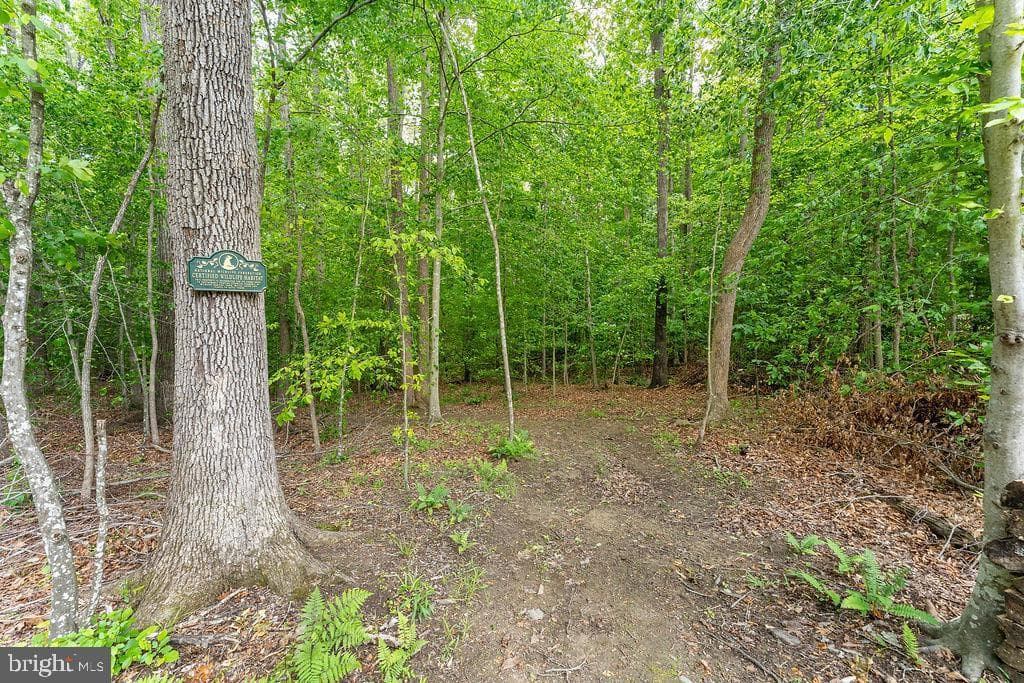 75 Orion Way photo 74