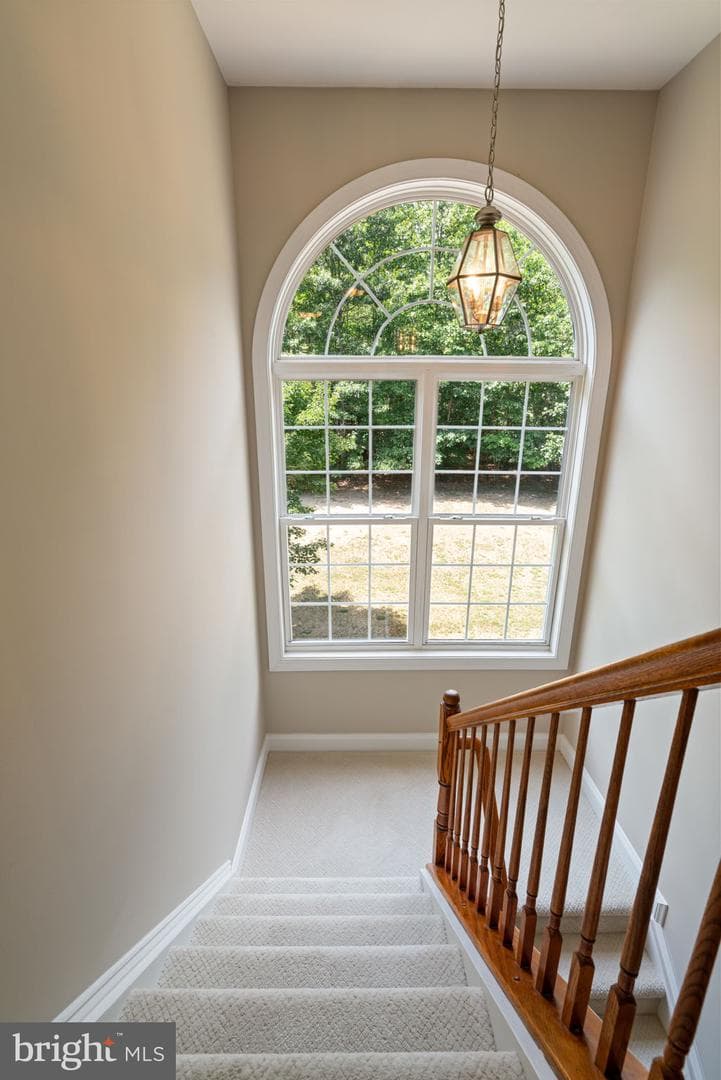 335 Gentle Breeze Circle photo 52