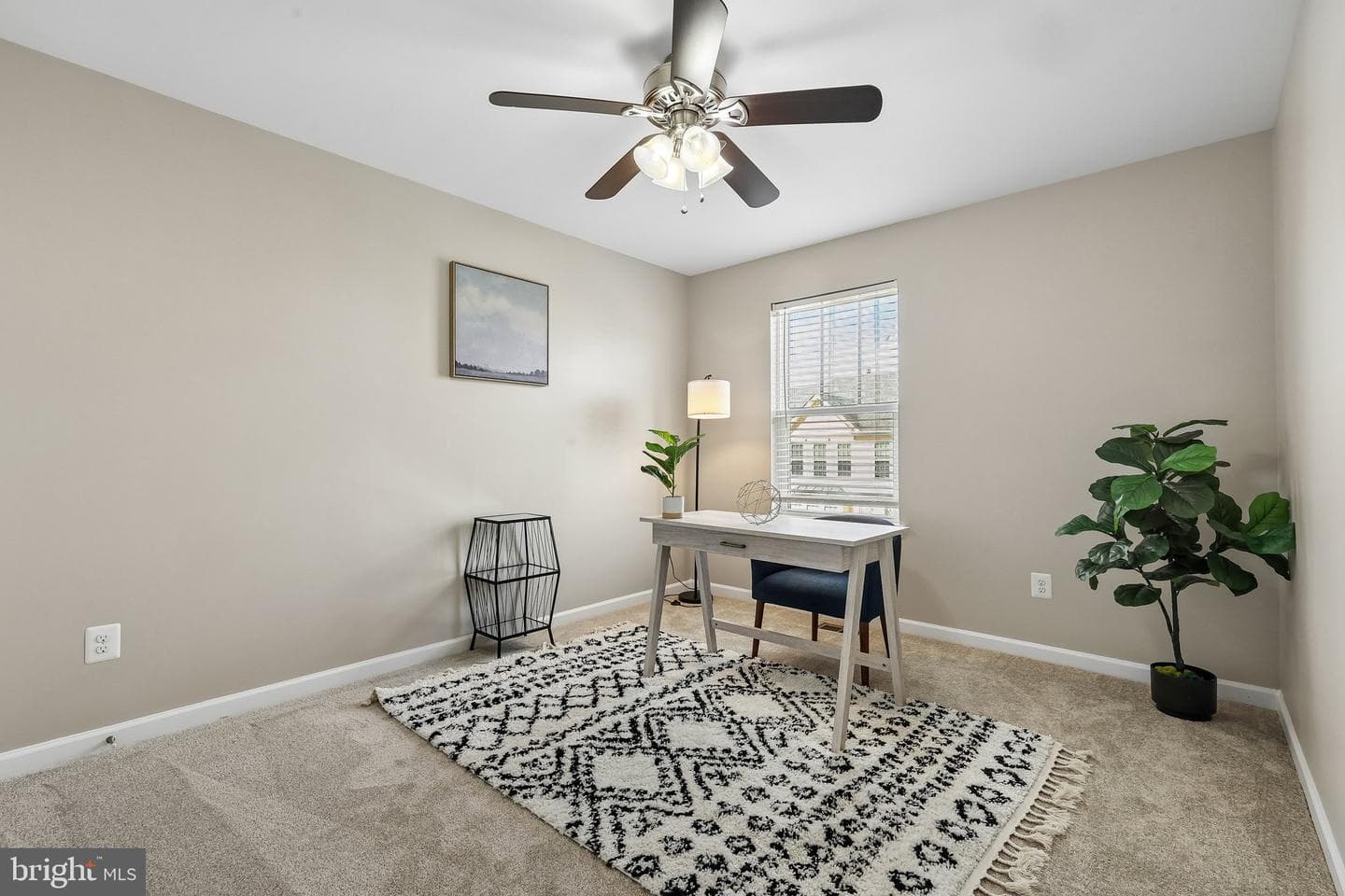 5 Coulter Lane photo 19