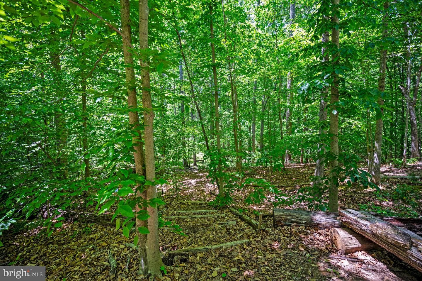 131 Arden Ln photo 78